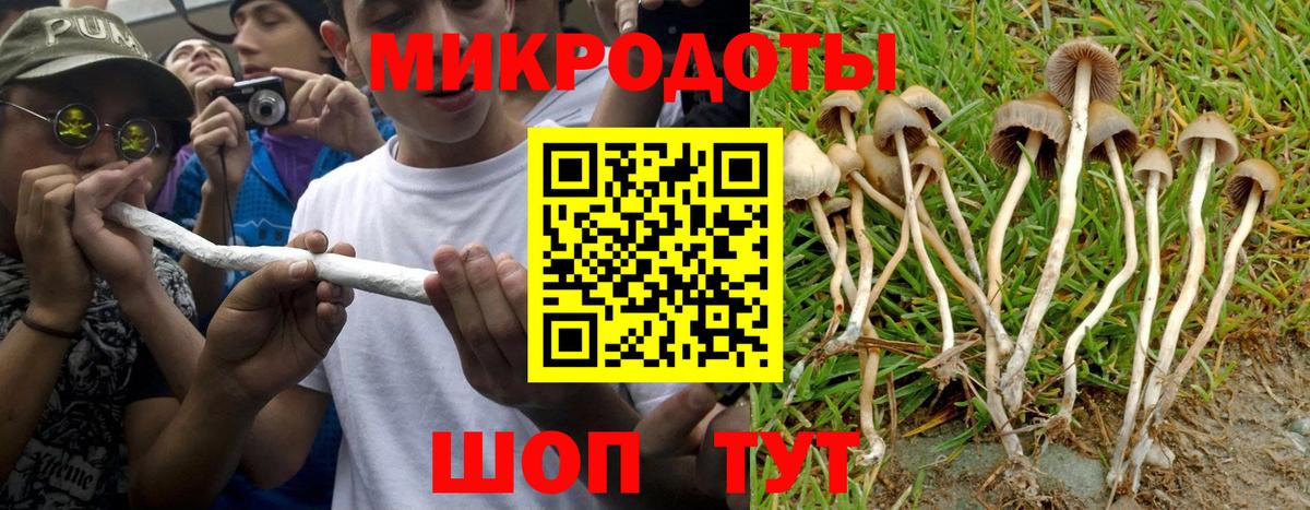 Мыски  где можно купить наркотик  Галлюциногенные грибы прущие грибы  Вход с VPN  Псилоцибиновые грибы мицелий 